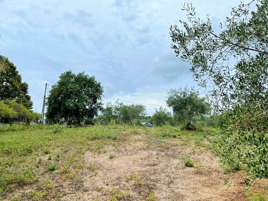 Terrain à Corfou, Grèce, 4 470 m² - image 8