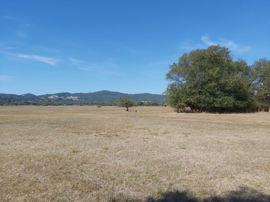 Terreno a Corfù, Grecia, 60 000 m2 - foto 8