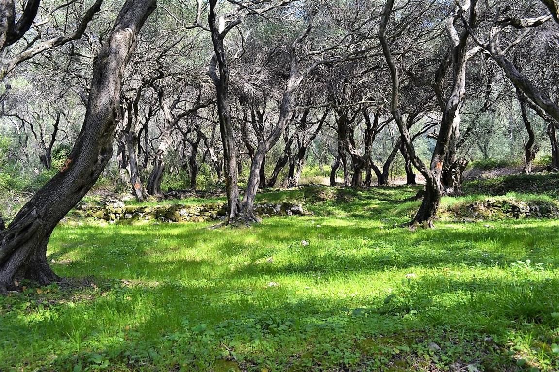 Terreno a Corfù, Grecia, 4 000 m2 - foto 8