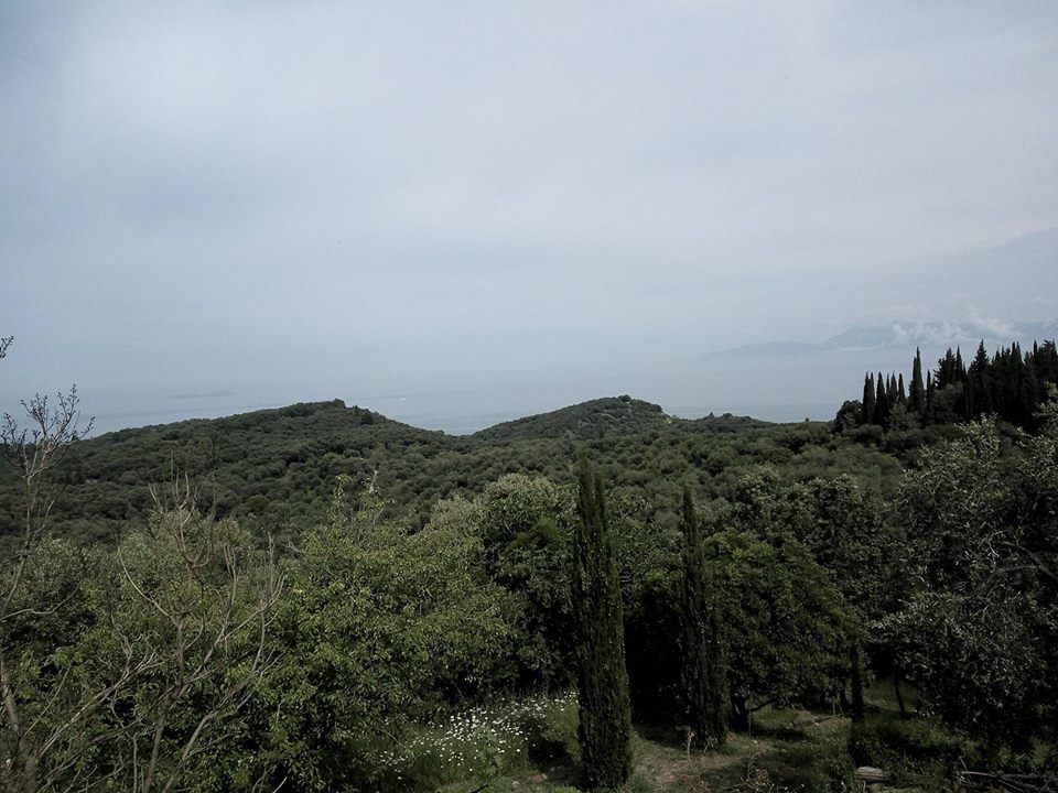 Land in Corfu, Greece, 17 000 m² - picture 8