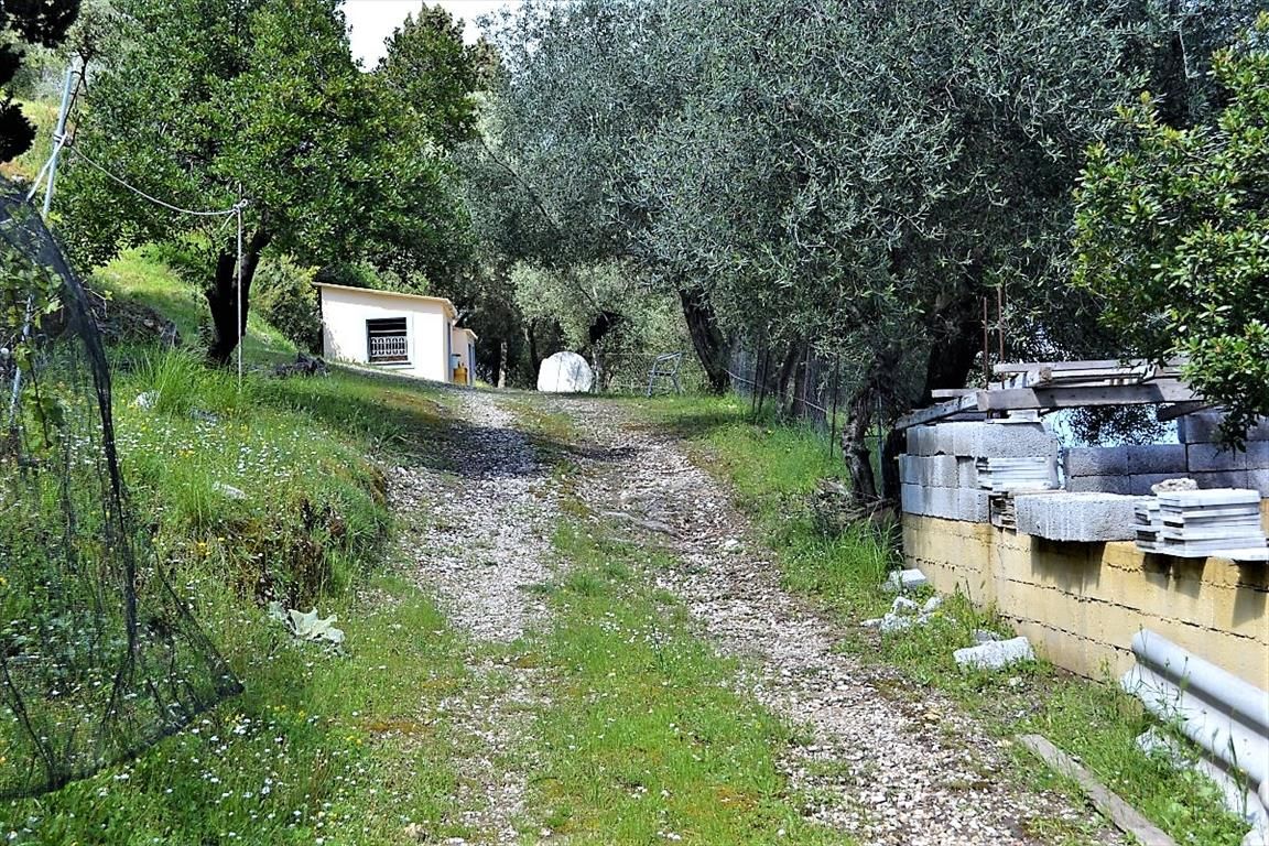 Land in Corfu, Greece, 4 000 m² - picture 10