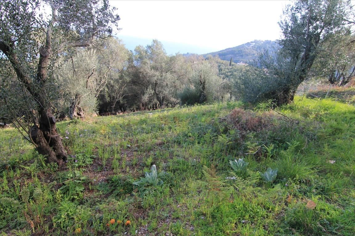 Terreno en Corfú, Grecia, 2 400 m² - imagen 10
