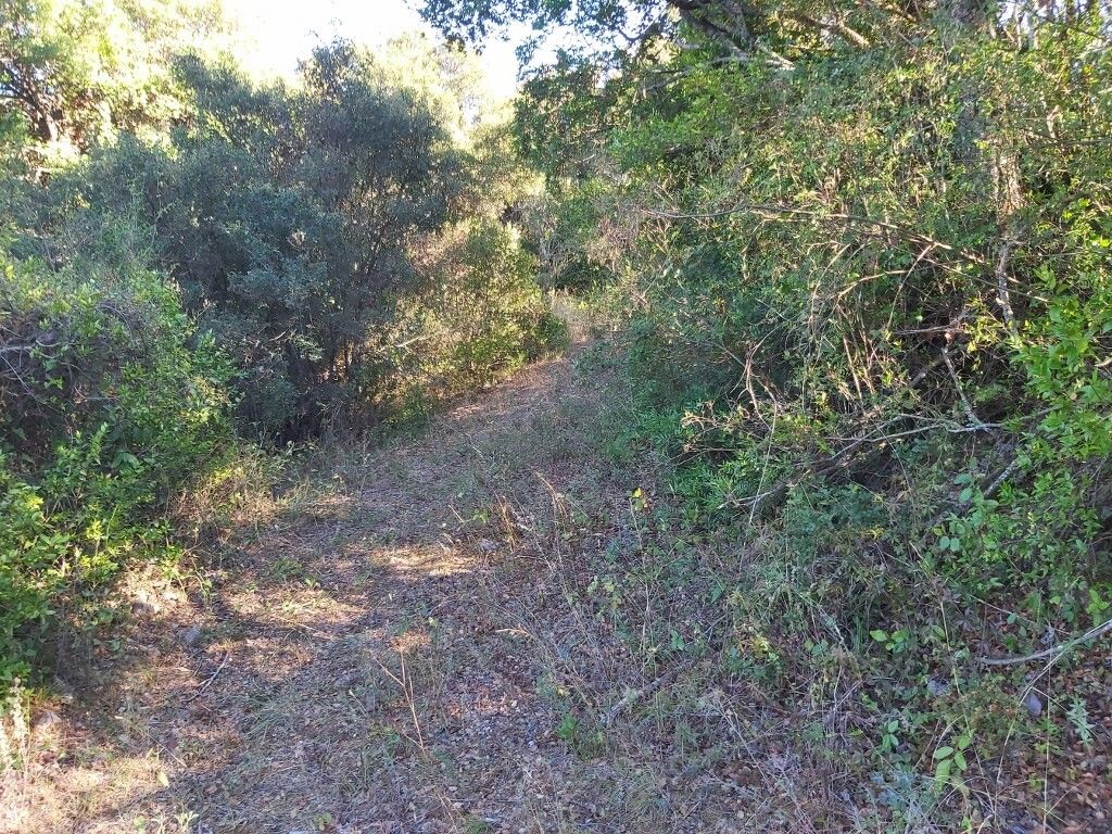 Terreno a Corfù, Grecia, 8 250 m2 - foto 11