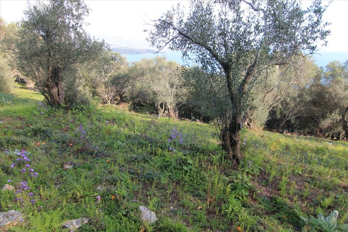 Terreno en Corfú, Grecia, 2 400 m² - imagen 11