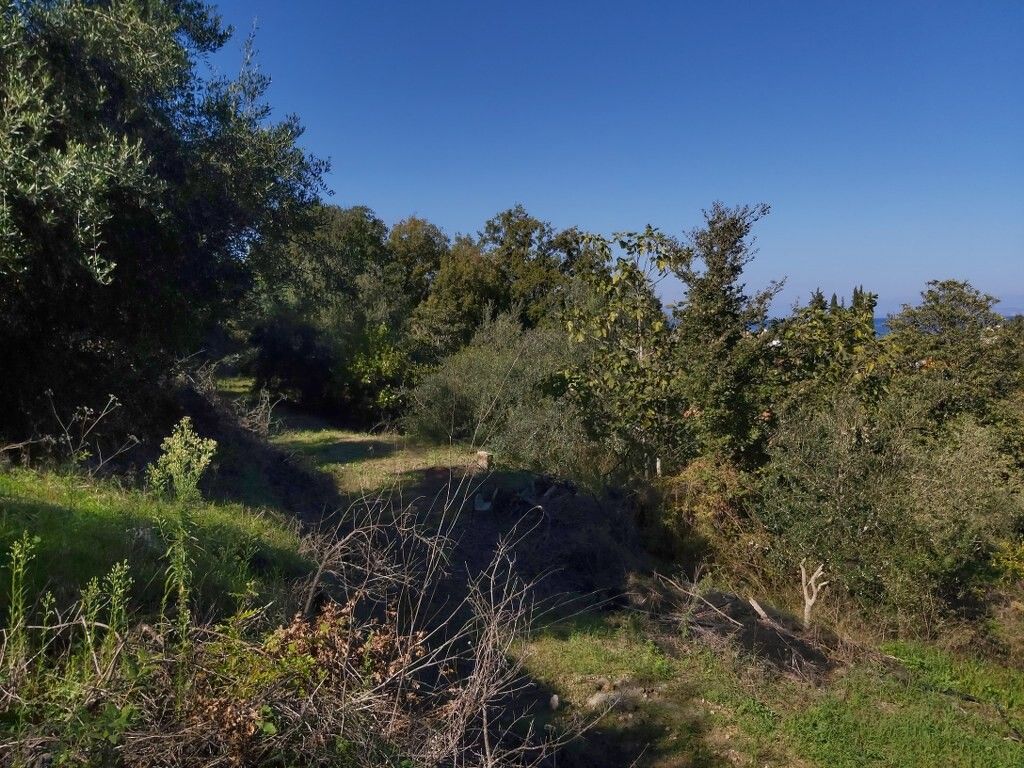 Grundstück in Korfu, Griechenland, 6 500 m² - Foto 12