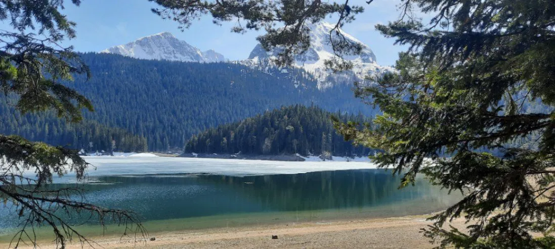 Terrain à Zabljak, Monténégro, 450 m² - image 1