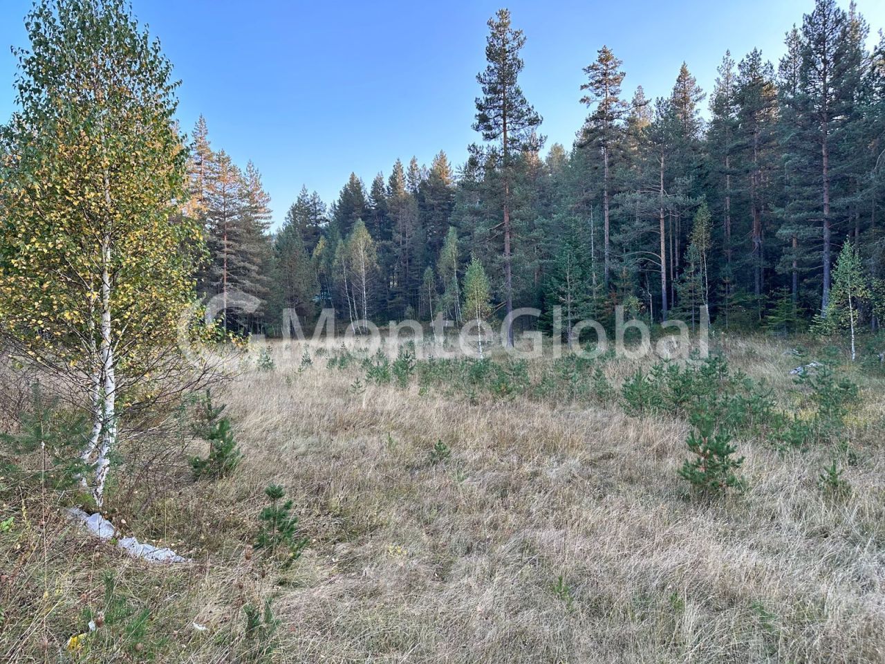 Land in Zabljak, Montenegro, 16 500 m² - picture 1