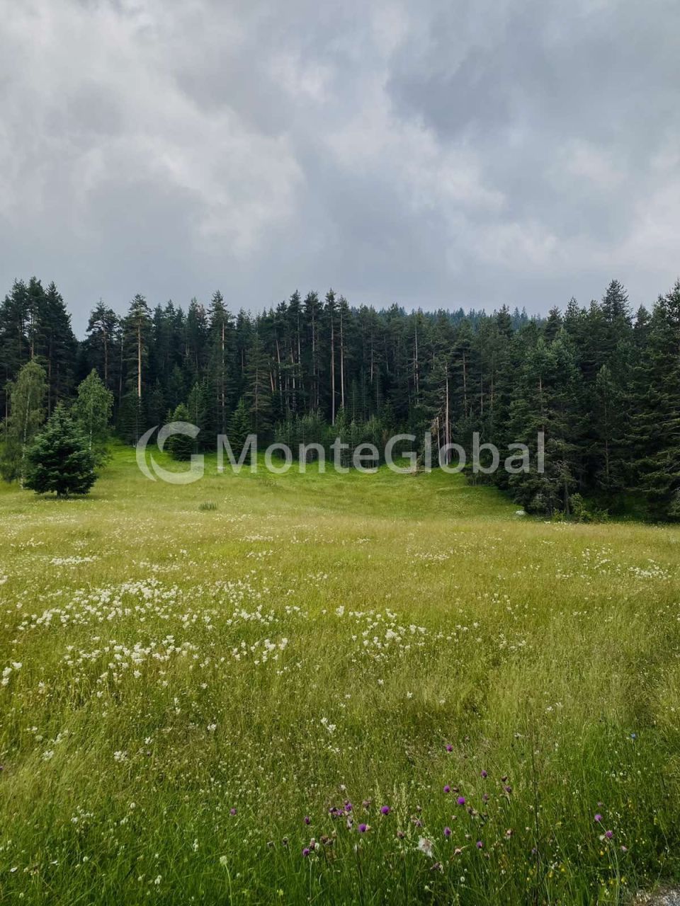 Grundstück in Zabljak, Montenegro, 400 m² - Foto 1