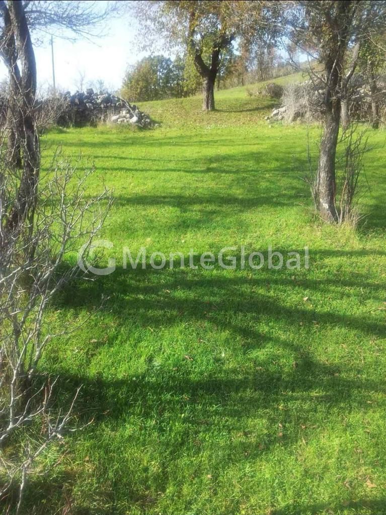 Terrain à Nikšić, Monténégro, 50 000 m² - image 1