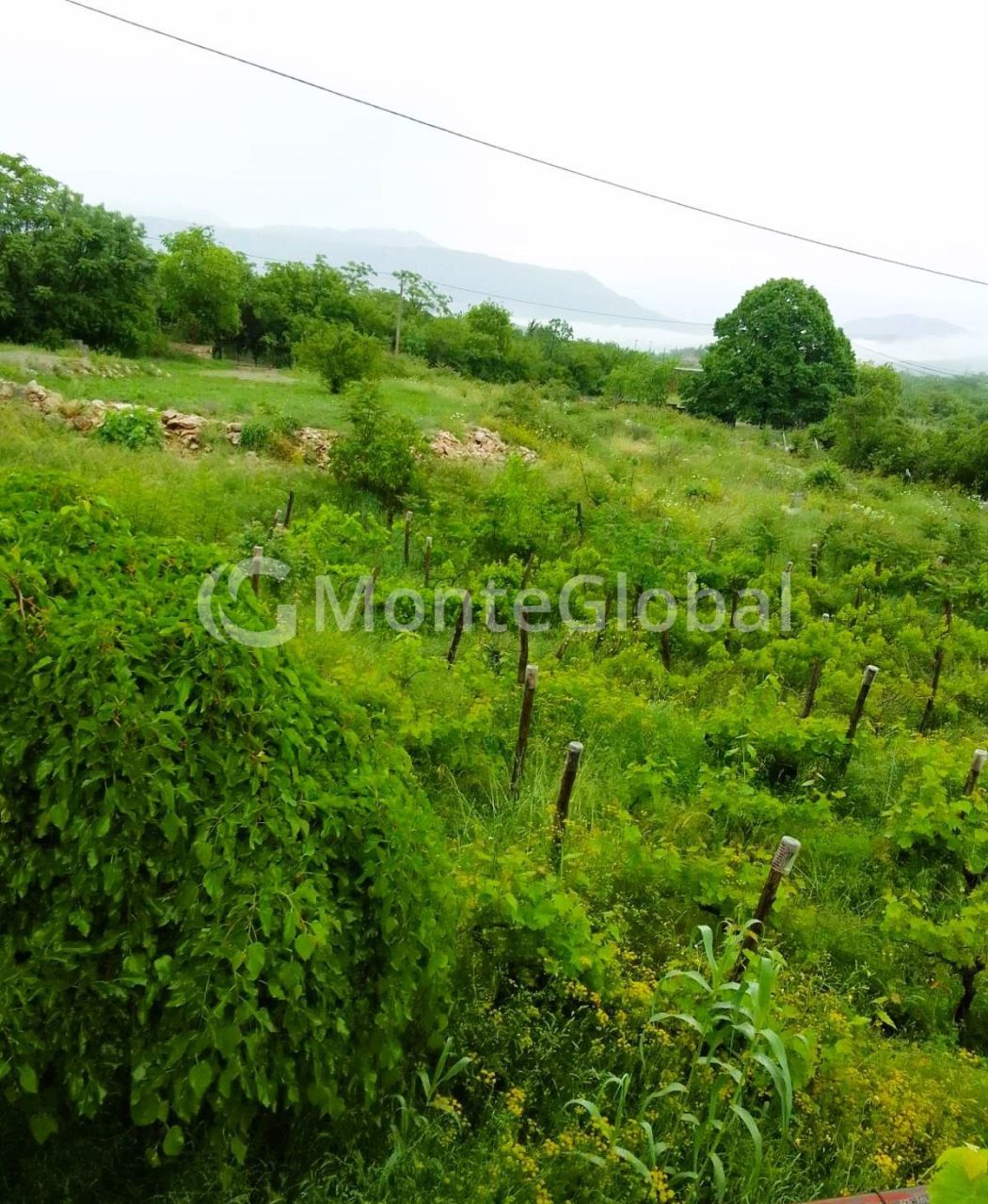 Grundstück in Danilovgrad, Montenegro, 3 000 m² - Foto 1