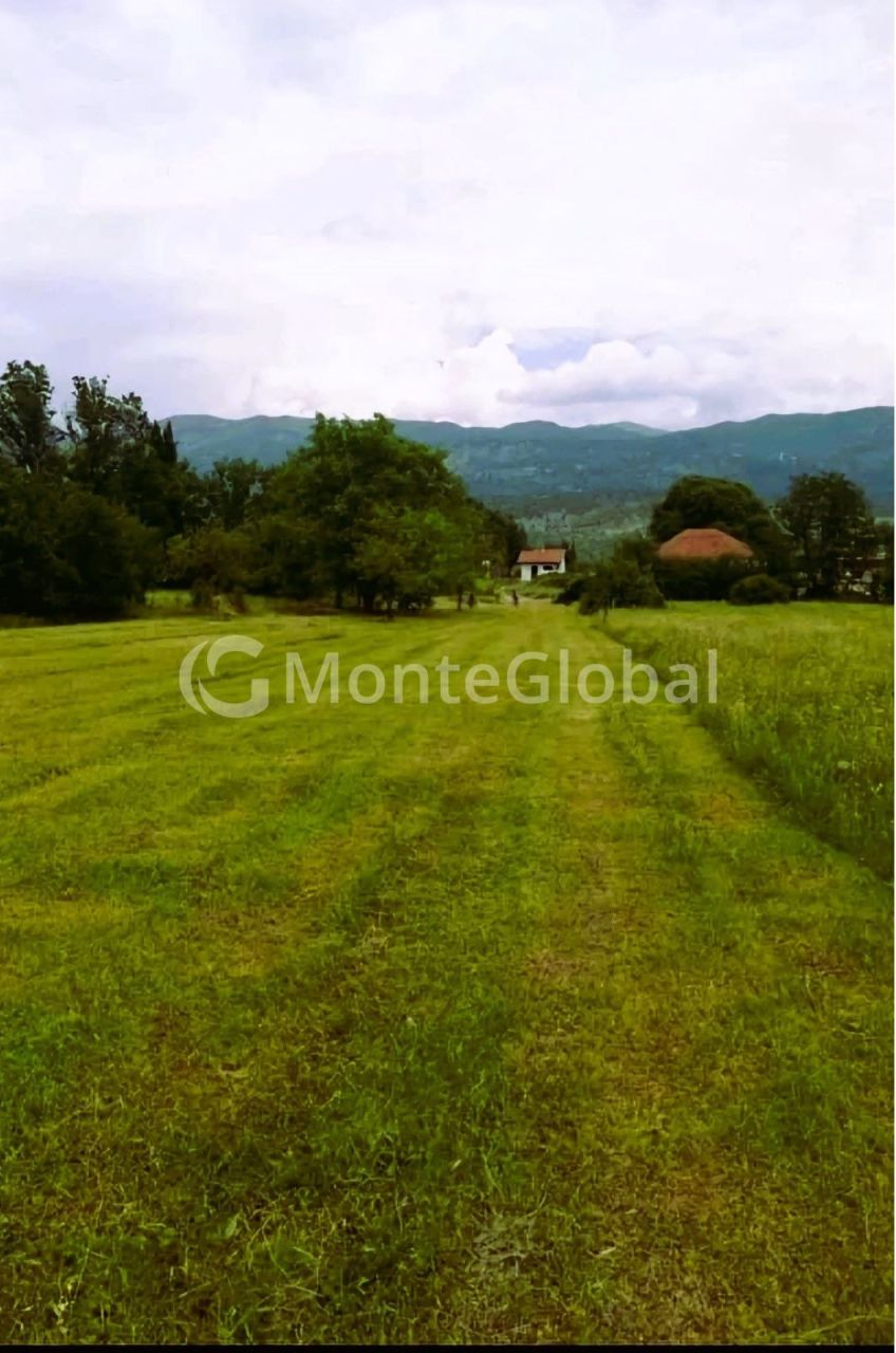 Grundstück in Danilovgrad, Montenegro, 3 420 m² - Foto 1