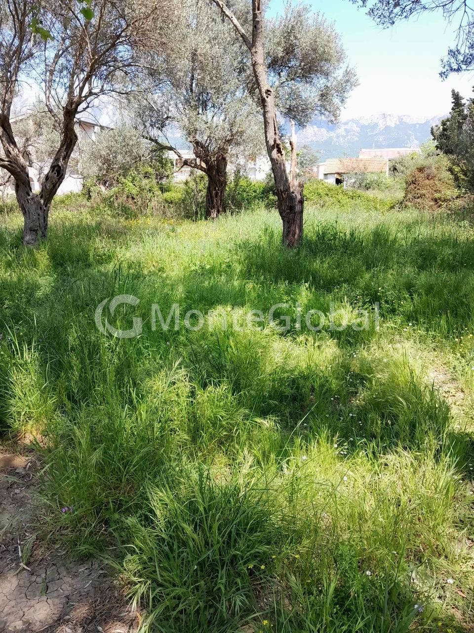 Terreno en el Bar, Montenegro, 503 m² - imagen 1