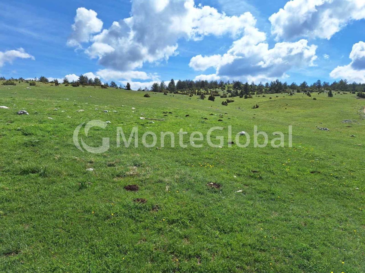 Land in Zabljak, Montenegro, 63 000 m² - picture 1