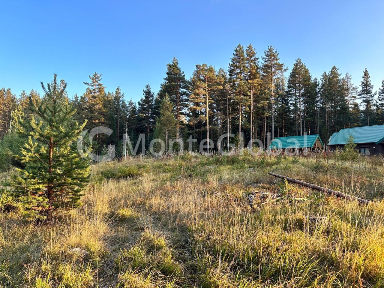 Land in Zabljak, Montenegro, 578 m² - picture 1