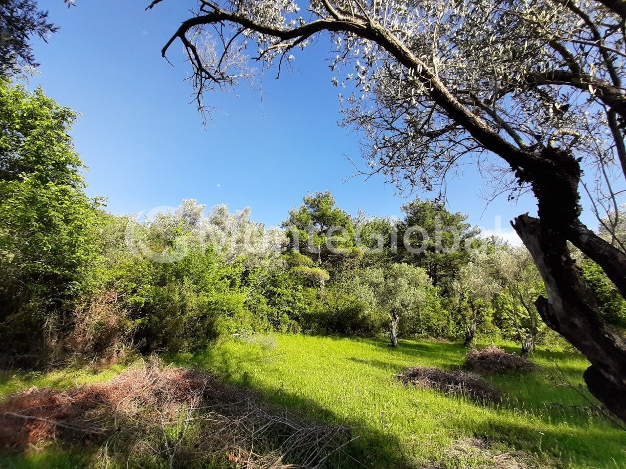 Terrain à Kotor, Monténégro, 1 350 m² - image 1