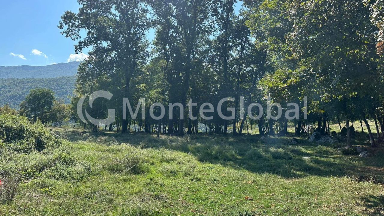 Terreno a Danilovgrad, Montenegro, 5 000 m2 - foto 2