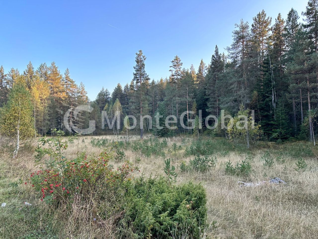 Terreno a Žabljak, Montenegro, 16 500 m2 - foto 2