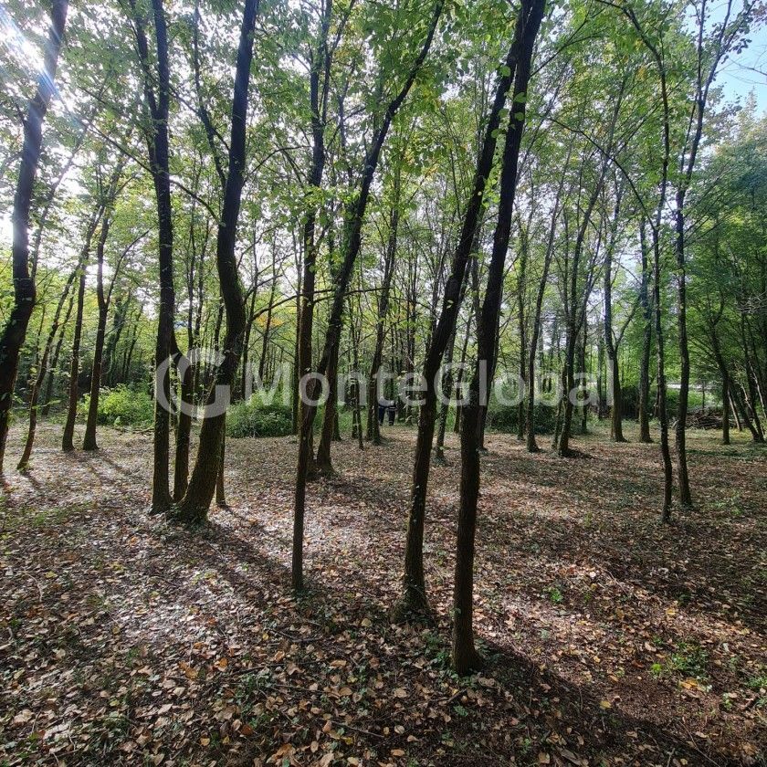 Land in Bar, Montenegro, 3 075 m² - picture 2