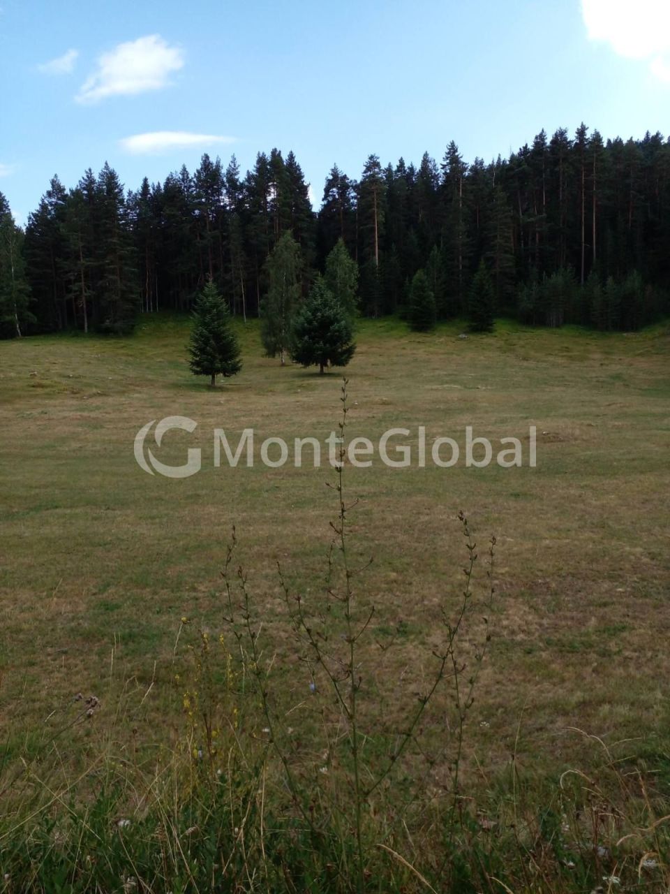 Grundstück in Zabljak, Montenegro, 400 m² - Foto 4