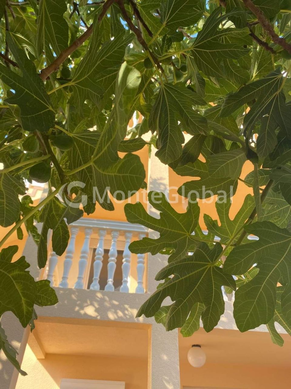 Maison à Dobra Voda, Monténégro, 180 m² - image 13