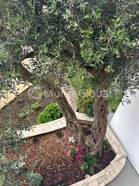 Flat in Budva, Montenegro, 87 m² - picture 14