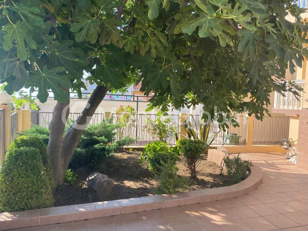 Maison à Dobra Voda, Monténégro, 180 m² - image 15