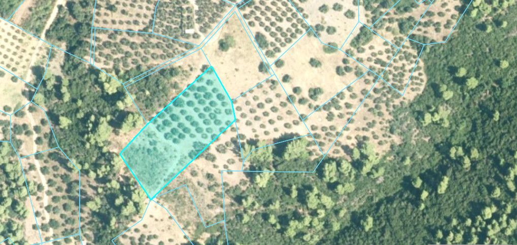 Terrain en Chalcidique, Grèce, 4 903 m² - image 1