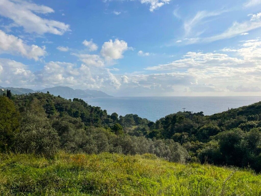 Terreno en Corfú, Grecia, 8 000 m² - imagen 1