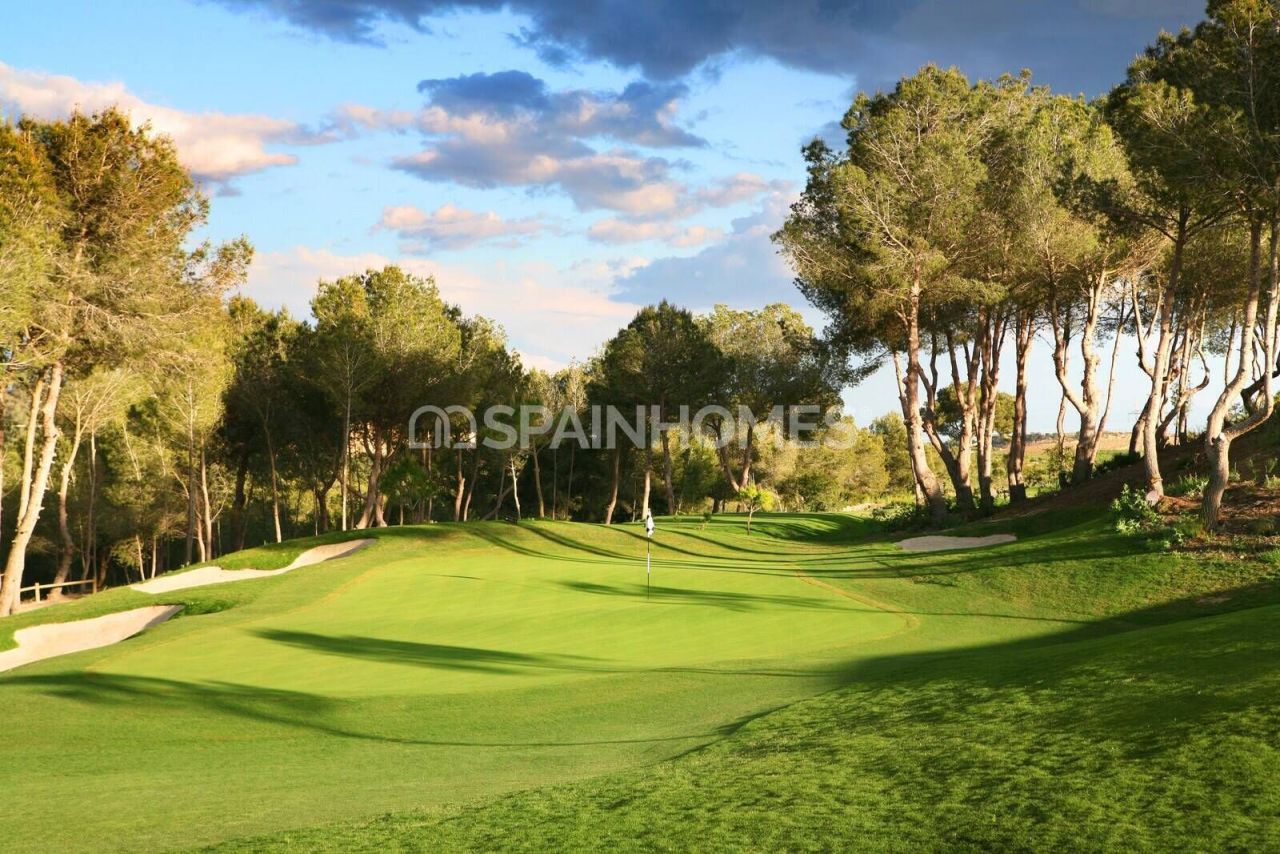 Villa à San Miguel de Salinas, Espagne, 129 m² - image 11