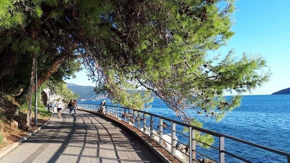 Café, Restaurant in Herceg-Novi, Montenegro, 26 m² - Foto 4