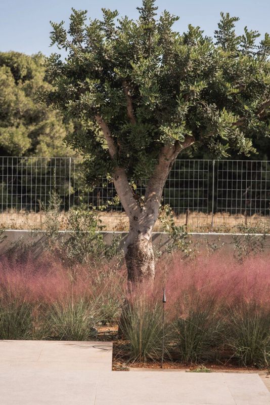 Maison à Athènes, Grèce, 200 m² - image 15