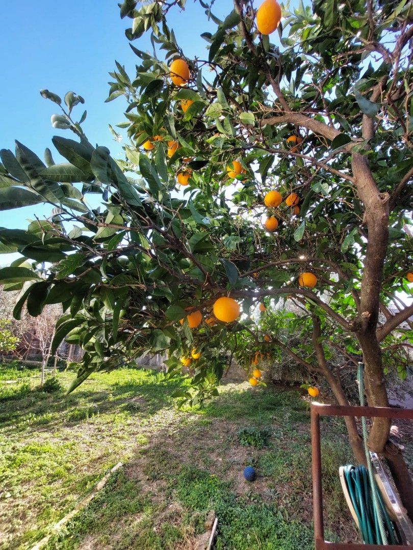 Casa a Bar, Montenegro, 80 m² - foto 6