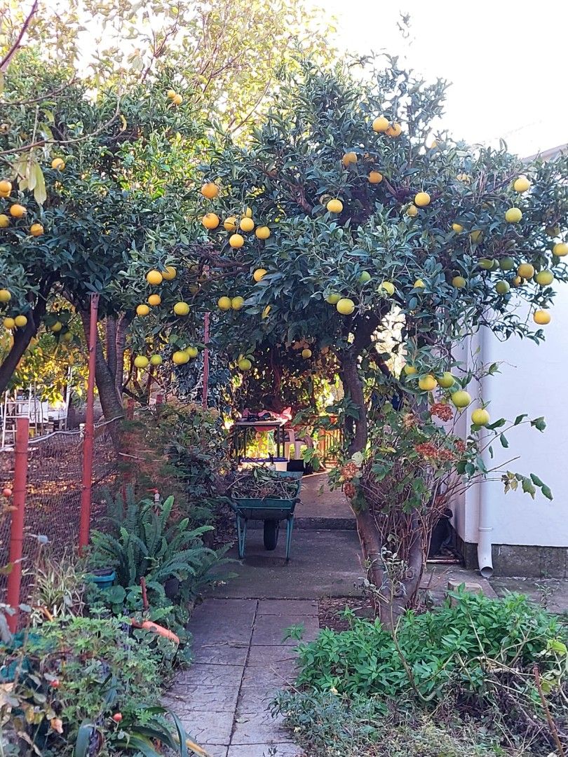 Casa a Bar, Montenegro, 80 m² - foto 7