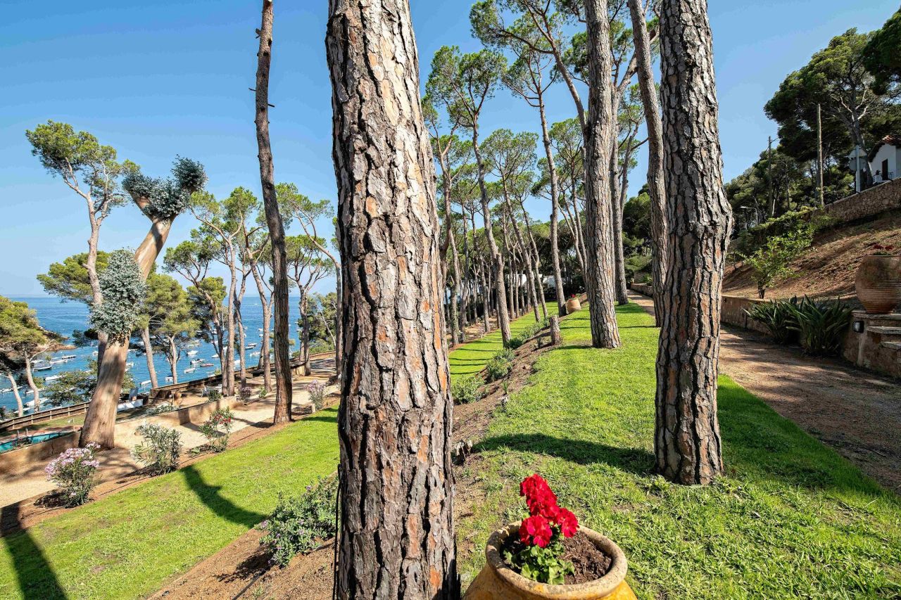 Villa in Tamariu, Spain, 480 m² - picture 1