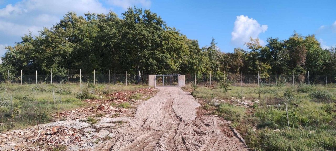 Maison à Svetvincenat, Croatie, 69 m² - image 2