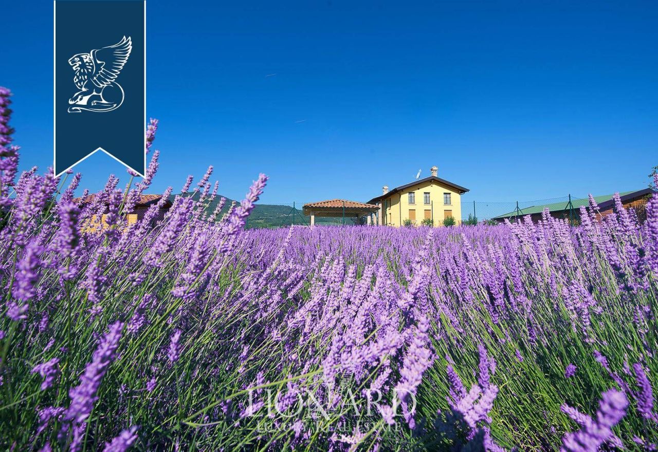 Azienda agricola a Piacenza, Italia, 300 m² - foto 2