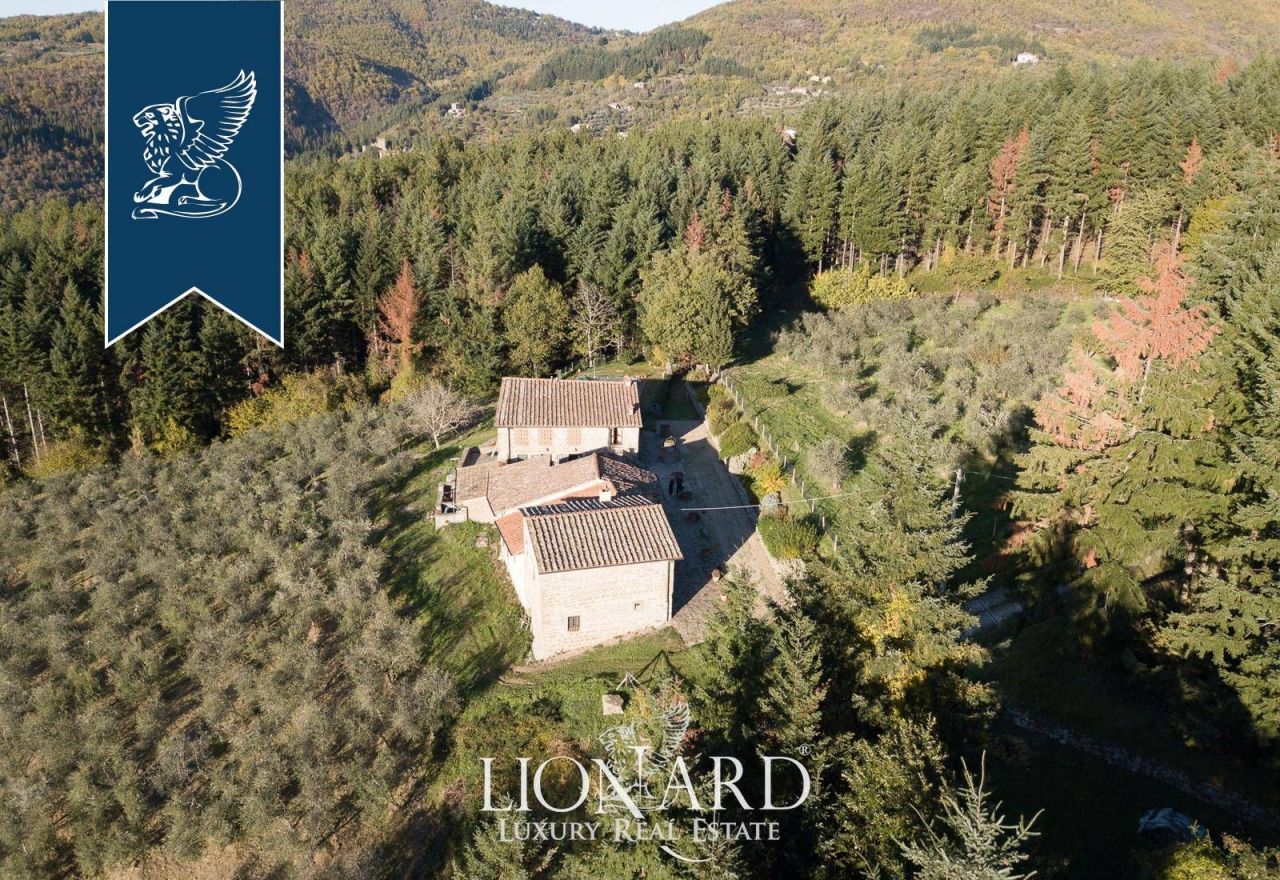 Azienda agricola a Firenze, Italia, 500 m² - foto 3