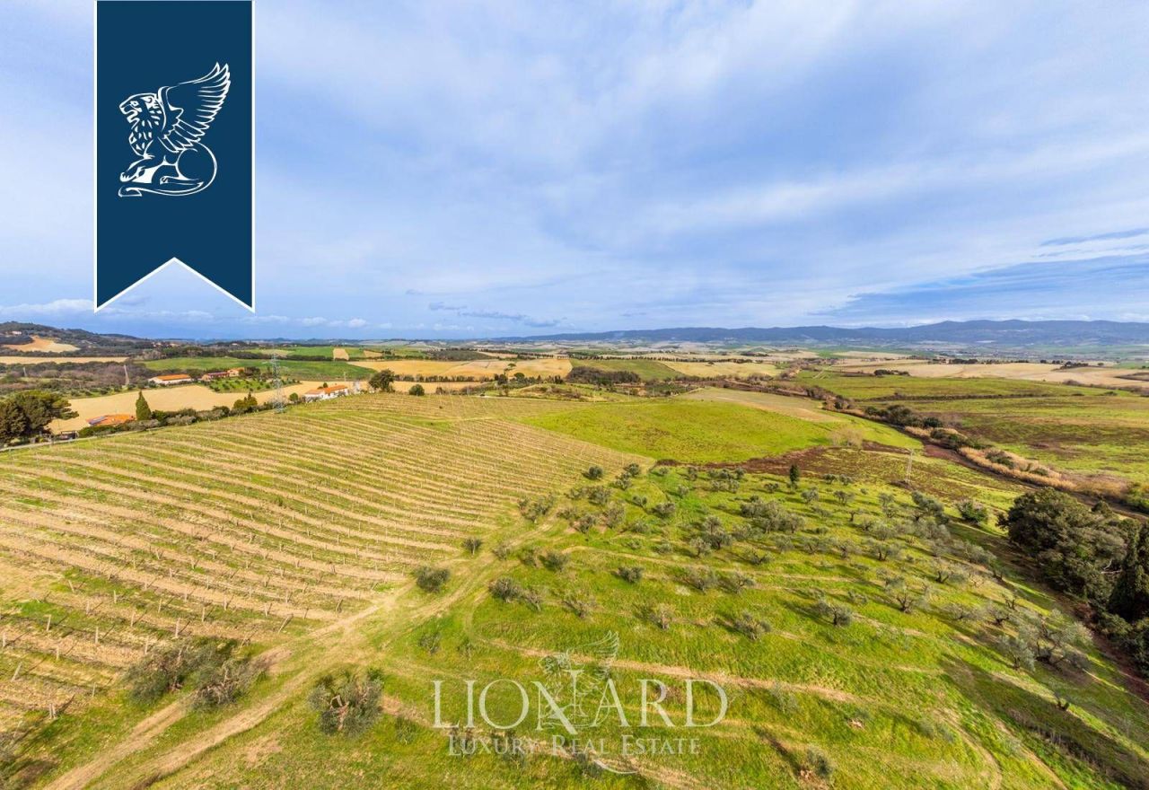 Ferme à Rosignano Marittimo, Italie, 8 000 m² - image 5