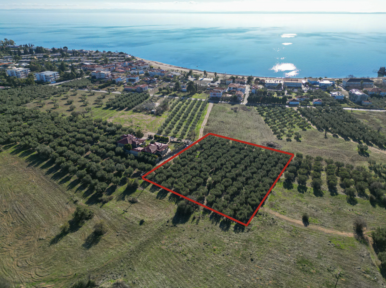 Villa a Calcidica, Grecia, 174 m² - foto 12