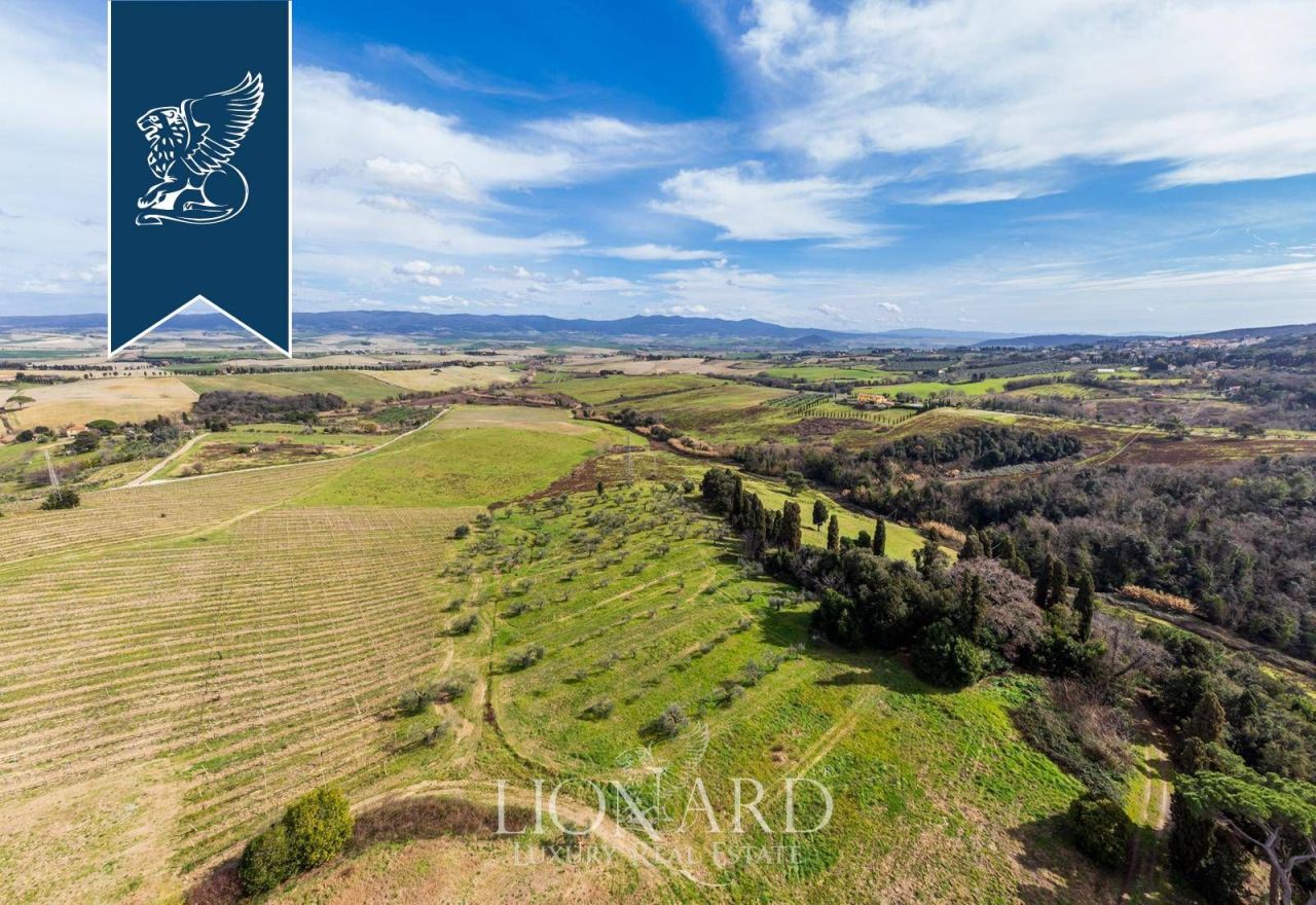 Ferme à Rosignano Marittimo, Italie, 8 000 m² - image 13