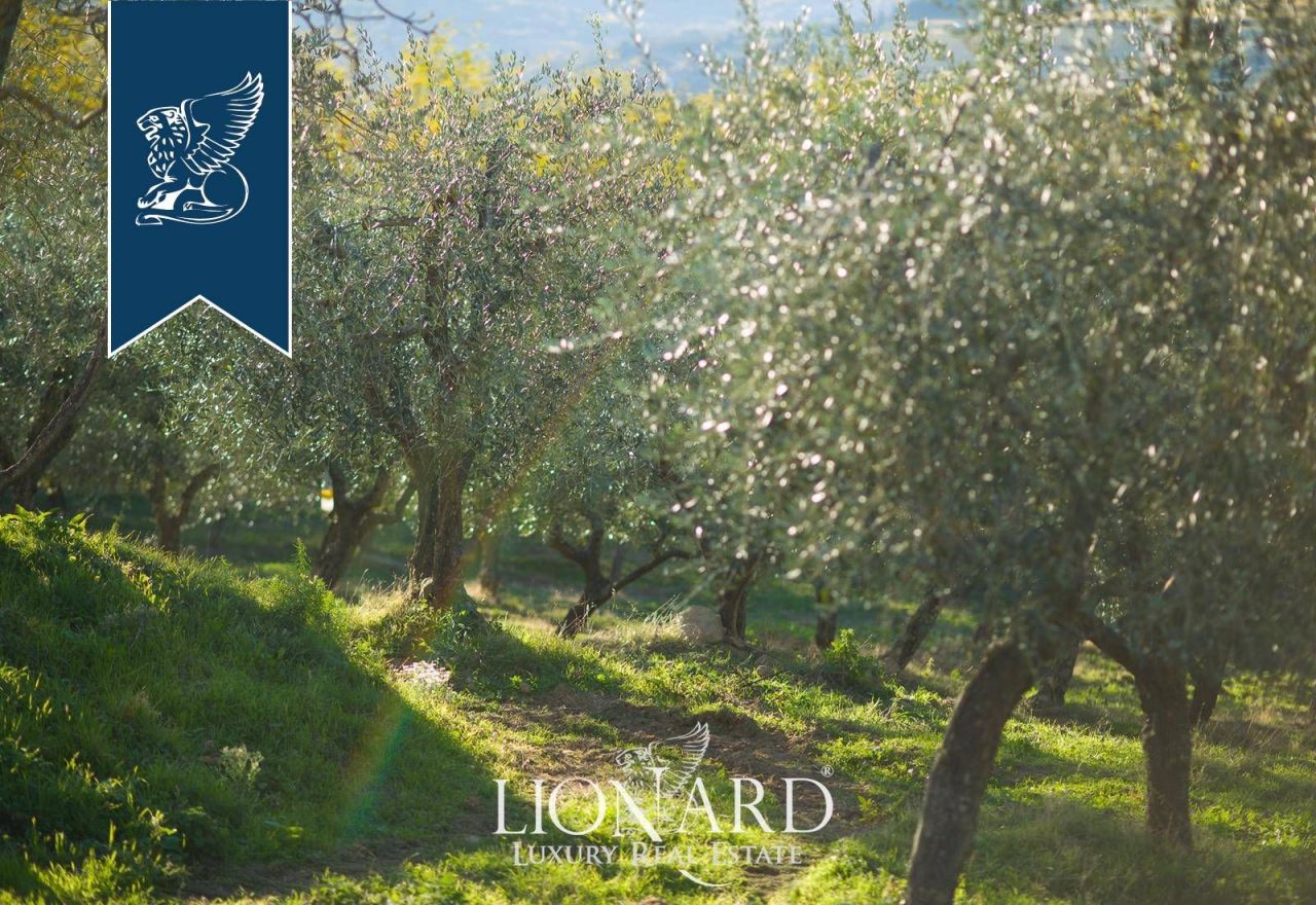 Azienda agricola a Firenze, Italia, 500 m² - foto 14