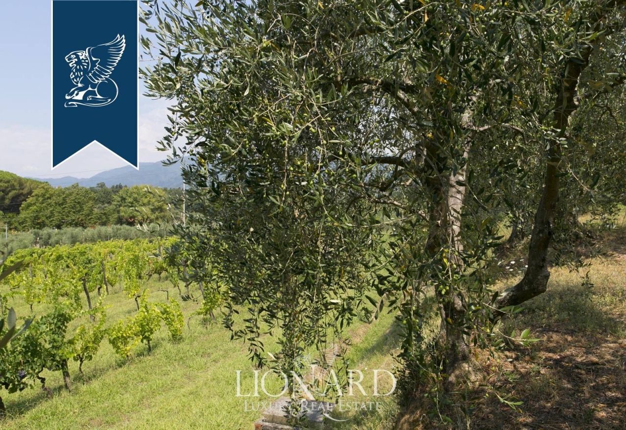 Villa a Capannori, Italia, 700 m² - foto 15