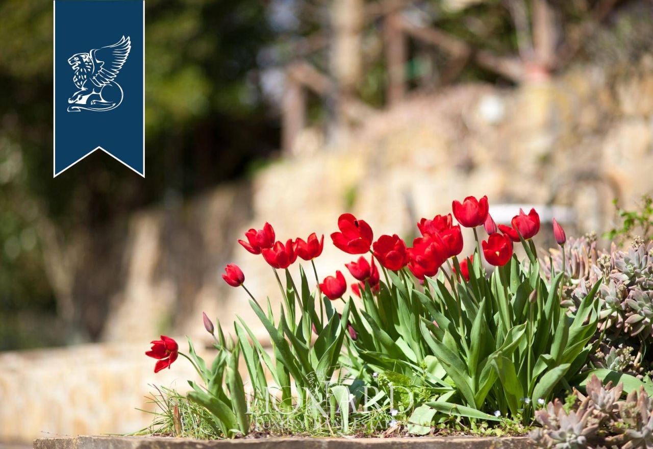 Azienda agricola a Grosseto, Italia, 670 m² - foto 14