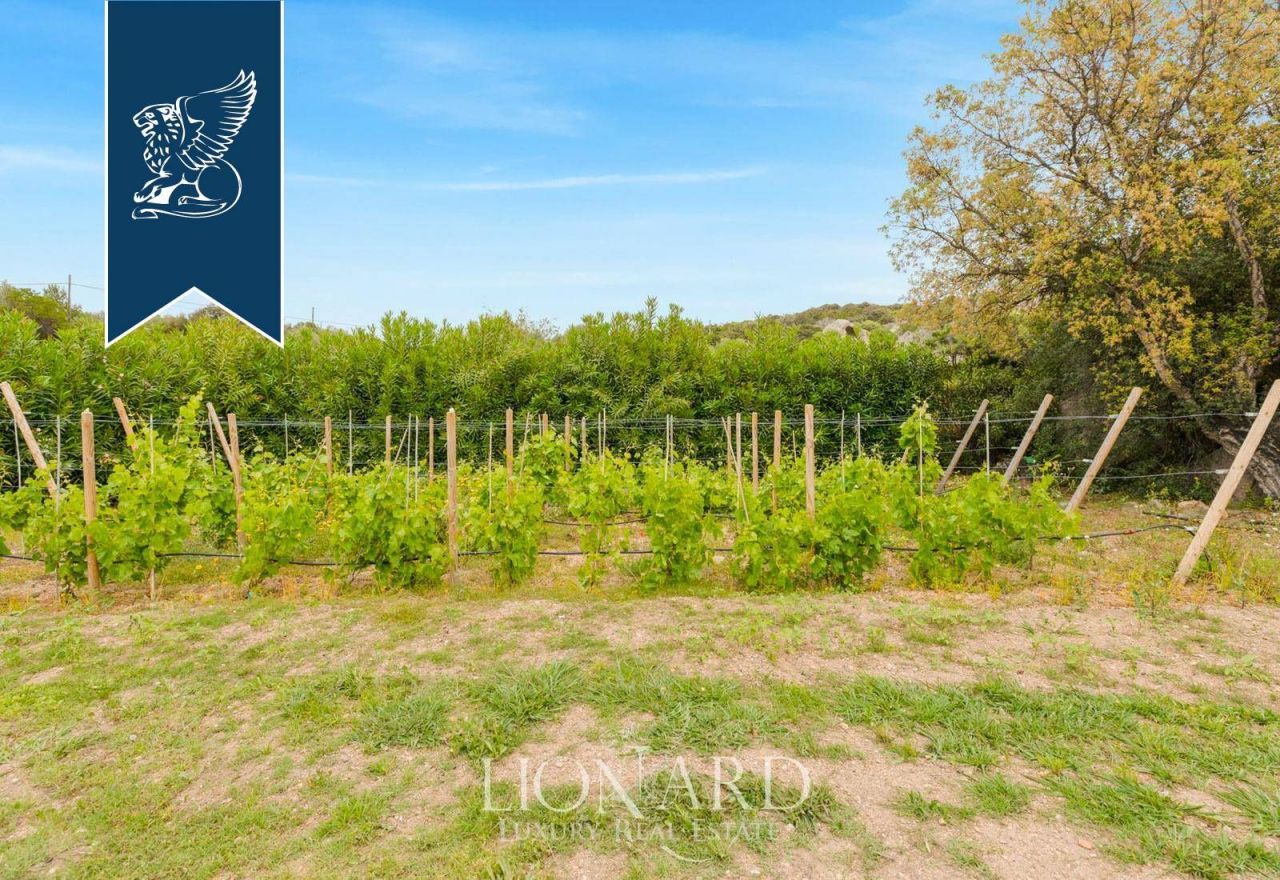 Villa à Porto Cervo, Italie, 230 m² - image 16