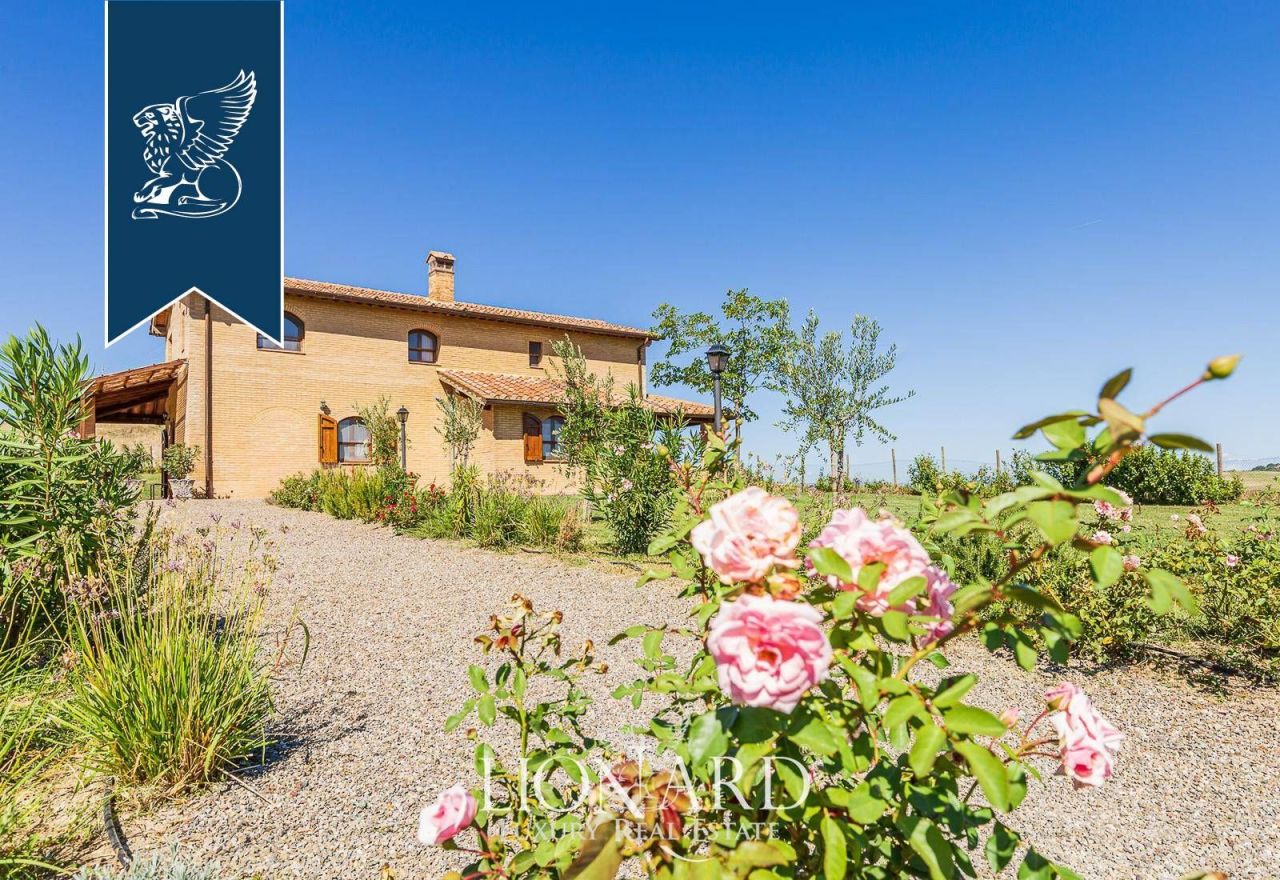 Farm in Montalcino, Italy, 1 800 m² - picture 16