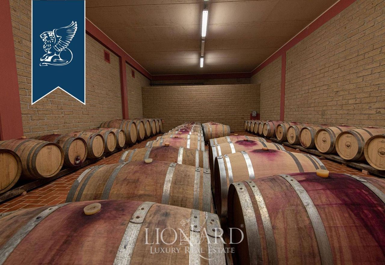 Casa a Campiglia Marittima, Italia, 2 200 m² - foto 17