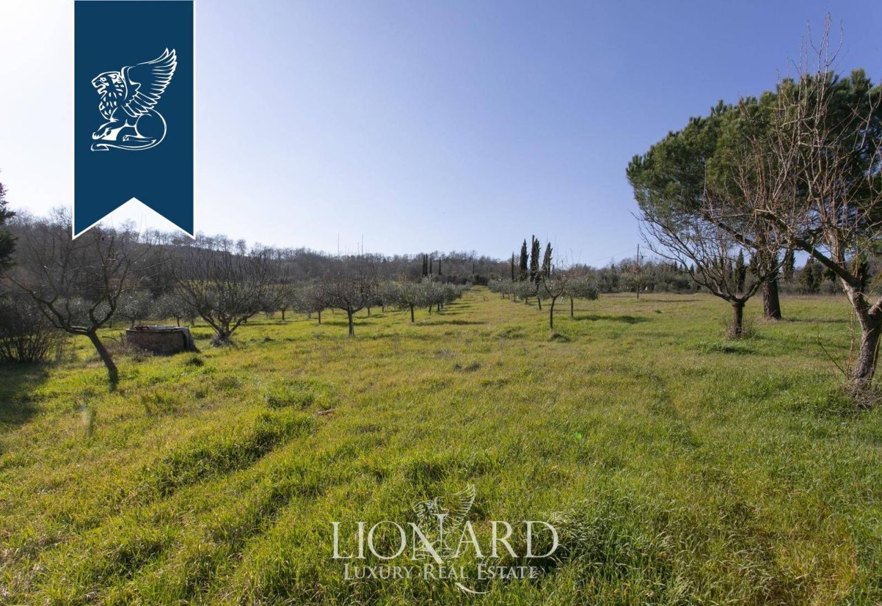 Azienda agricola a Sinalunga, Italia, 800 m² - foto 17