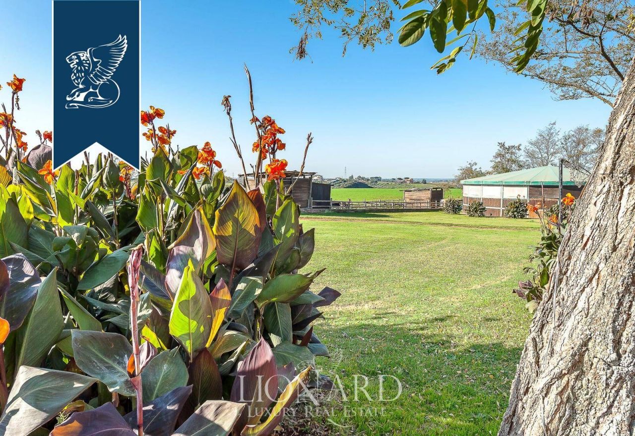 Azienda agricola a Roma, Italia, 2 761 m² - foto 19