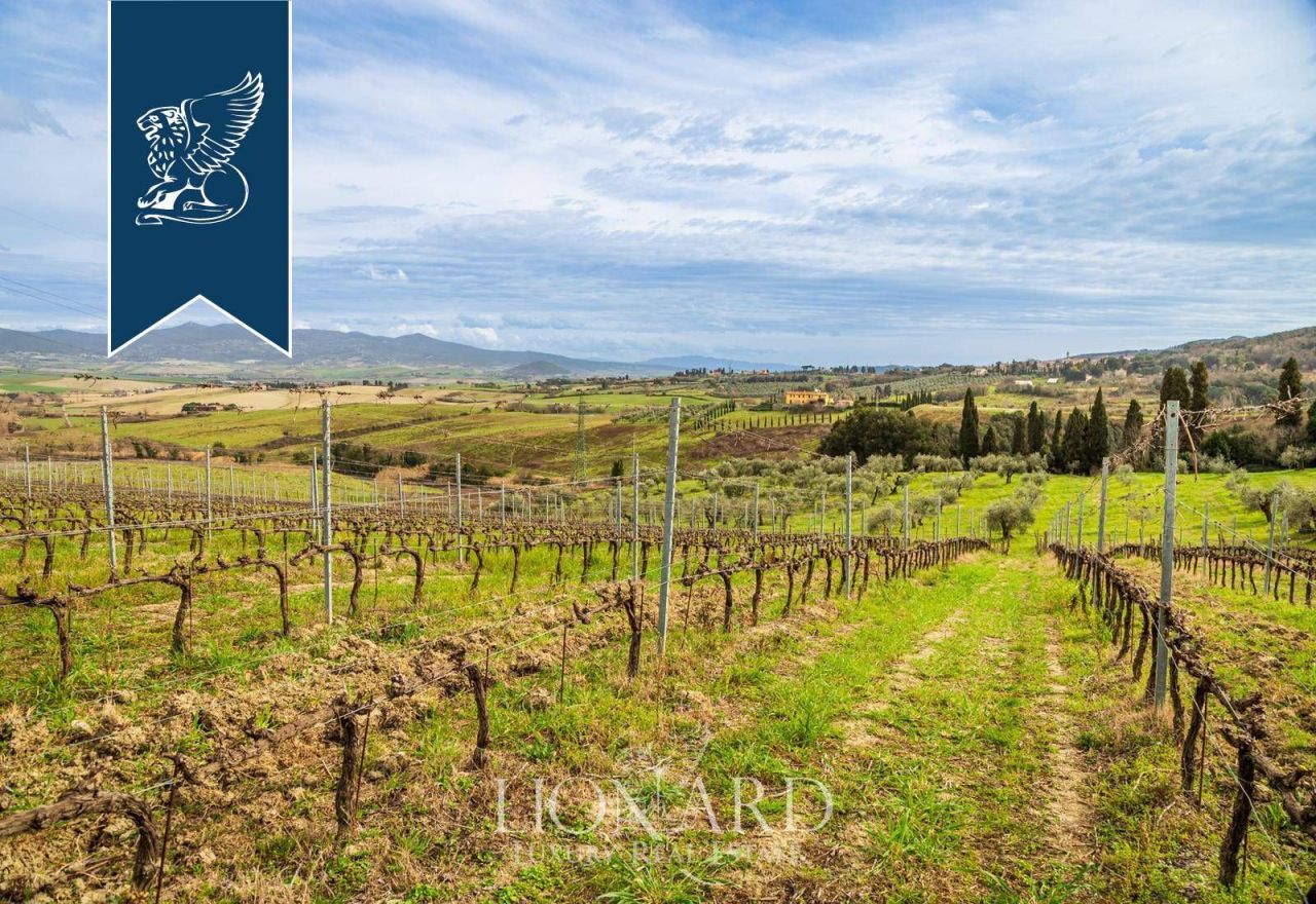 Ferme à Rosignano Marittimo, Italie, 8 000 m² - image 19