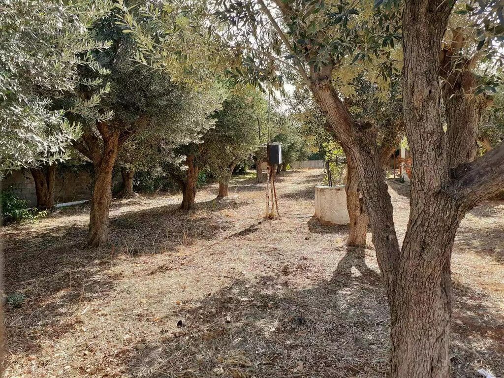 Terreno en Atenas, Grecia, 547 m² - imagen 3